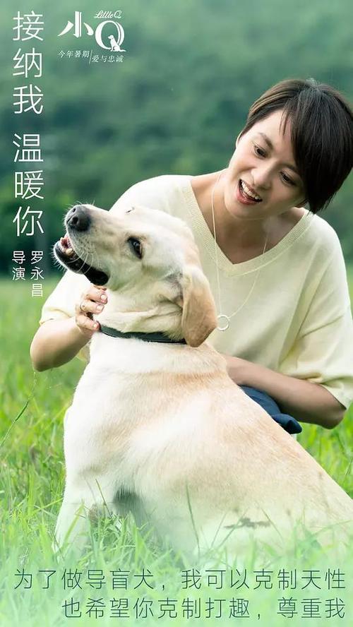 格林威治大学ElectronicEngineeringDegreeCertificate